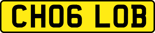 CH06LOB
