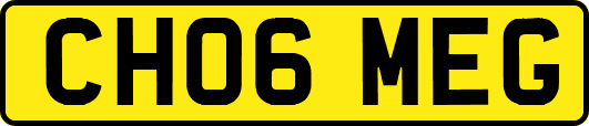 CH06MEG