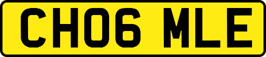 CH06MLE