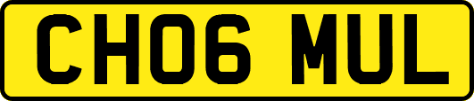 CH06MUL