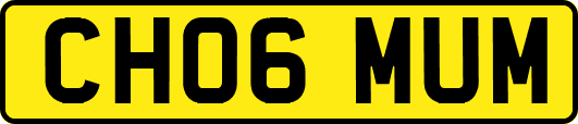 CH06MUM
