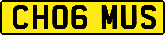 CH06MUS