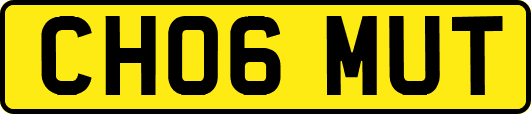 CH06MUT