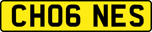 CH06NES