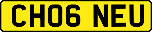 CH06NEU