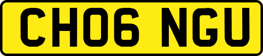 CH06NGU