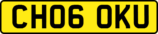 CH06OKU