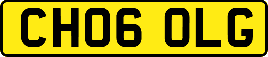 CH06OLG