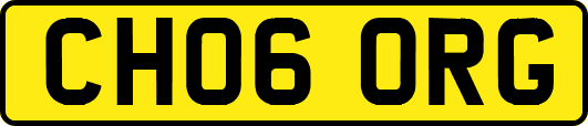 CH06ORG