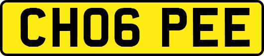 CH06PEE