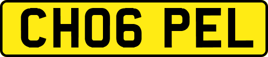 CH06PEL