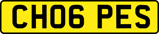 CH06PES