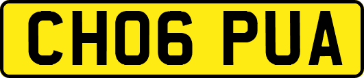 CH06PUA