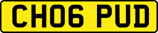 CH06PUD