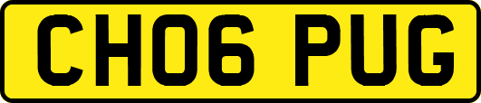 CH06PUG