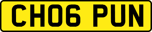 CH06PUN