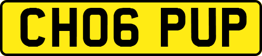 CH06PUP