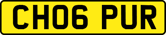 CH06PUR