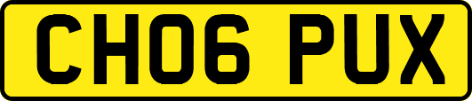 CH06PUX