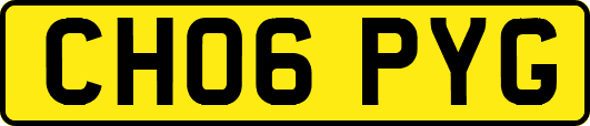 CH06PYG