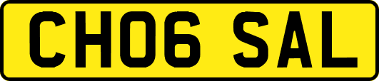 CH06SAL