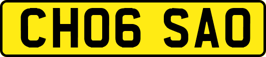 CH06SAO
