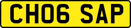 CH06SAP