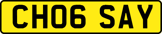 CH06SAY