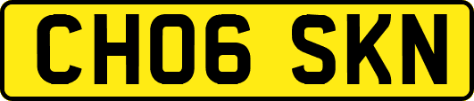 CH06SKN