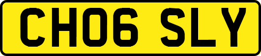CH06SLY