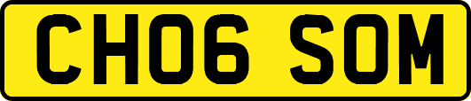 CH06SOM