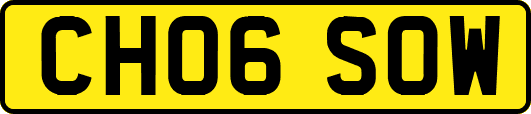 CH06SOW