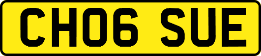 CH06SUE