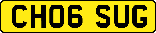 CH06SUG