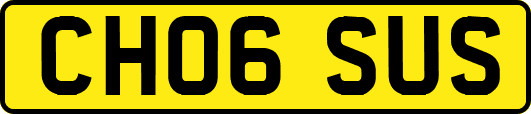 CH06SUS