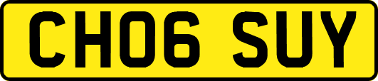 CH06SUY