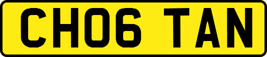 CH06TAN