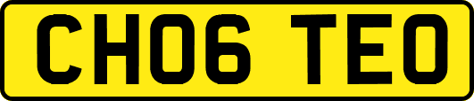 CH06TEO