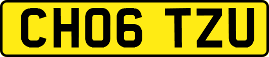 CH06TZU