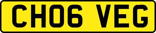 CH06VEG