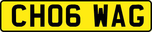 CH06WAG