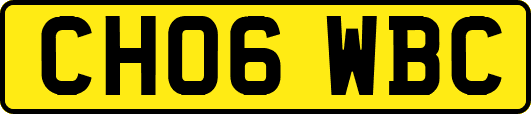 CH06WBC