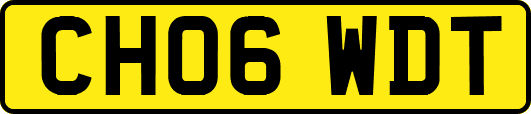 CH06WDT