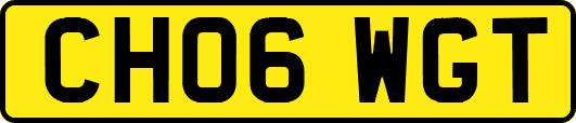 CH06WGT