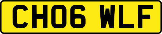 CH06WLF