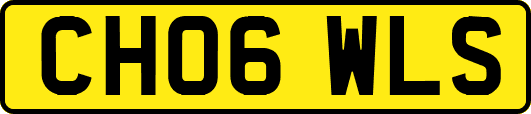 CH06WLS
