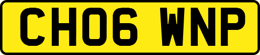 CH06WNP