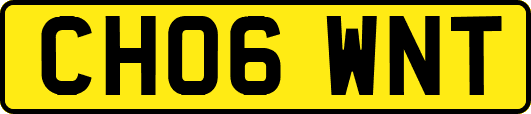 CH06WNT