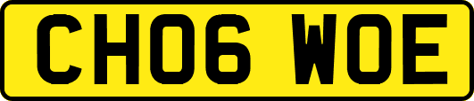 CH06WOE