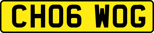 CH06WOG